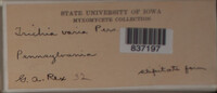 Image Associated With the Occurence